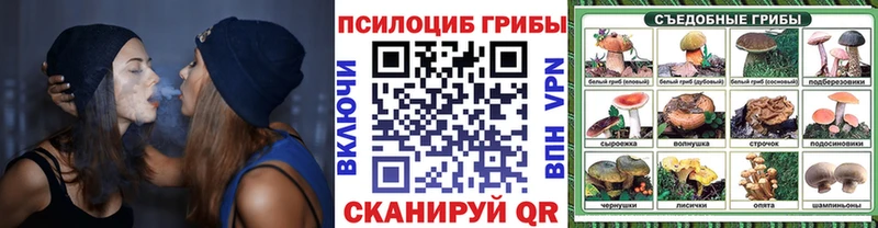 Псилоцибиновые грибы Cubensis  блэк спрут онион  Тотьма  купить наркоту 